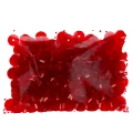 CRAFT_WITH_FUN_439331_1.jpg