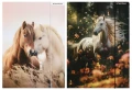 STARPAK_298952.jpg