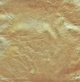 HASTA_439987_2.jpg