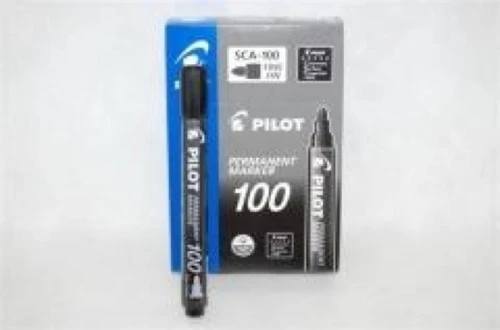 PILOT_4902505511134.jpg