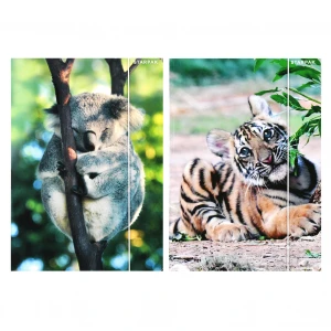 Teczka z gumką A4 Wild Animal2 STARPAK 559730
