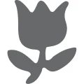 HASTA_432042_2.jpg
