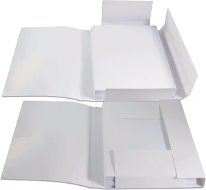 Teczka wiązana papierowa biała 350g FOL A 25 BARBARA 0300087