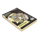 Papier A4 80 g mix 5 kolorów pastelowych 250 kartek EMERSON