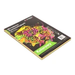 Papier A4 80 g mix 4 kolorów fluorescencyjnych 100 kartek EMERSON