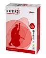 maestro-standard-plus.jpg